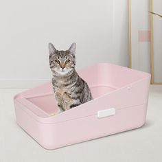 a cat sitting in a pink litter box