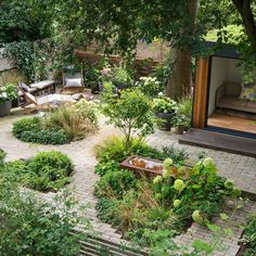 an outdoor garden with lots of plants and trees