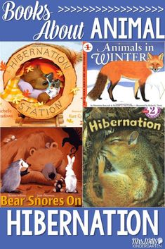 books about animals in winter with the title bear stories on hibernation written below