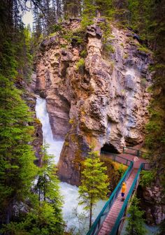 a wooden walkway leading up to a waterfall in the woods with trees on both sides