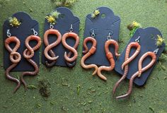 four earrings with worms attached to them sitting on the ground