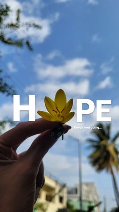 a hand holding up a yellow flower with the words hope