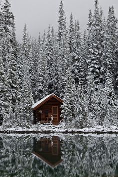 a log cabin sits on the shore of a lake surrounded by snow covered trees