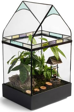 a glass house with plants in it and rocks underneath the roof, on a white background