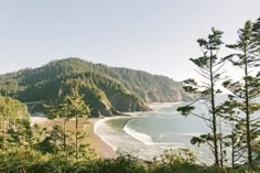 a scenic view of the ocean, mountains and bridge from atop a hill with pine trees