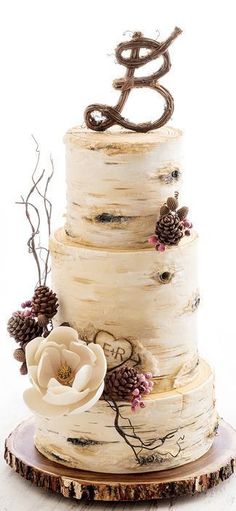 a three tiered cake with flowers and pine cones