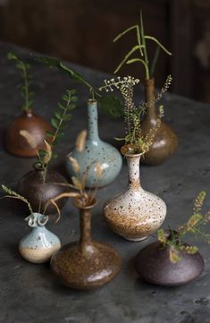 a group of vases with plants in them on a table next to each other