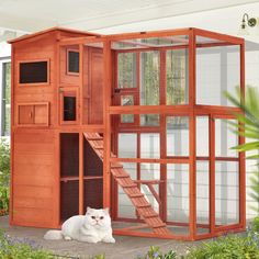 a white cat sitting in front of a wooden structure with windows and doors on it