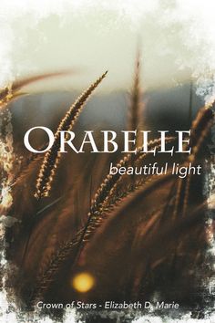 an image of a book cover with grass in the foreground and words that read, oraclele beautiful light