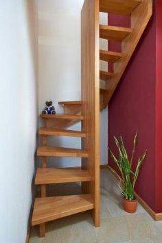 a wooden stair case next to a red wall and potted plant on the floor