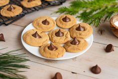 chocolate chip cookies on a plate next to some nuts