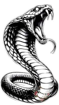 a black and white drawing of a snake