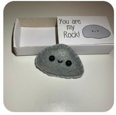 an open box with a stuffed animal in it sitting next to a card that says you are my rock