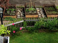 several raised garden beds with flowers and plants growing in them on the side of a road