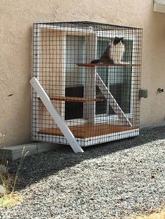 a cat in a cage on the side of a house