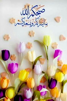 colorful tulips are arranged in front of a white wall with arabic writing on it