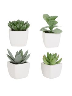 three white planters with succulents in them