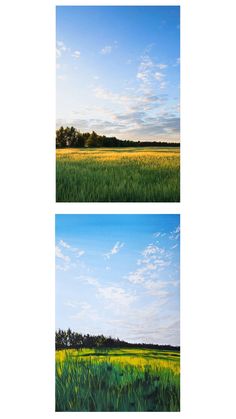 two paintings of green grass and blue sky