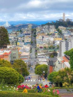 a view of the city from atop a hill in san francisco, california with lots of trees and flowers