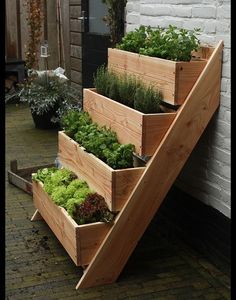 three wooden planters with plants growing in them