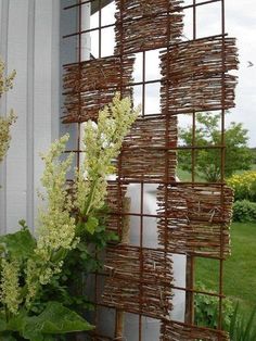 some plants are growing in front of a building with metal bars on it and one planter is next to the window