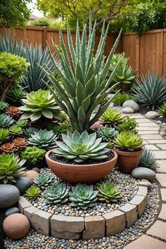 a garden filled with lots of succulents and rocks