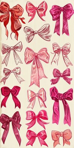 a bunch of different types of bows on a white background with red and pink colors