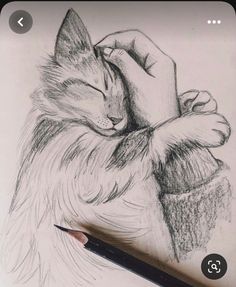 a pencil drawing of a cat resting its head on someone's arm with their eyes closed