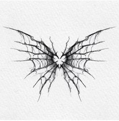 a drawing of a butterfly with wings spread out