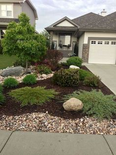 landscaping in front of a house with rocks and plants