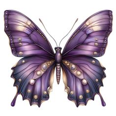 a purple butterfly with gold accents on its wings