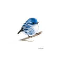 a blue and white bird sitting on top of a tree branch in front of a white background