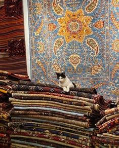 a cat sitting on top of a pile of rugs