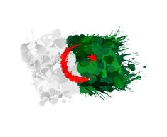 the flag of pakistan painted in green, white and red with paint splatters