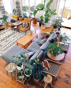 a living room filled with lots of furniture and plants on top of wooden flooring