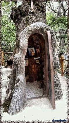 an entrance to a tree in the woods