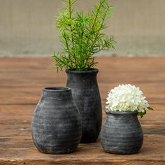 three vases with plants in them sitting on a wooden table next to each other