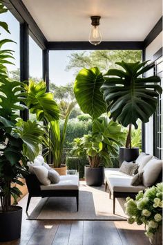 Thriving potted plants on a charming front porch Jungle Outdoor Decor, Tropical Courtyards Landscape Design, Tropical Porch Plants, Verandah Plants, Front Deck Decorating Ideas, Bamboo Courtyard, Porch Transformation, Front Balcony Design, Terrace Plants