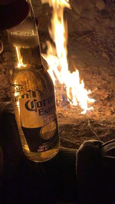 a bottle of beer sitting next to a fire