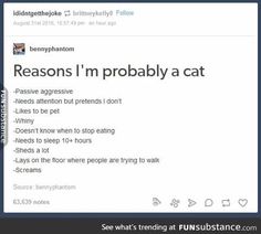 a tweet with the caption'reason i'm probably a cat '