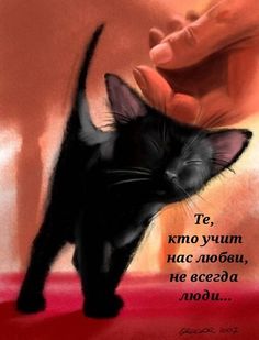 a painting of a black kitten being petted by someone's hand with an orange background