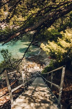 stairs lead down to the water below some trees