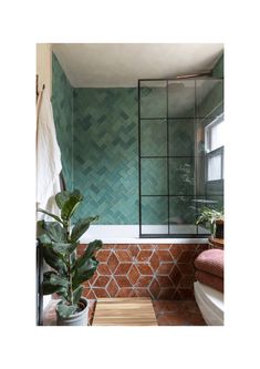 a bath room with a toilet and a plant next to a window on the wall