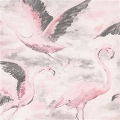 two pink flamingos are flying in the sky with their wings spread out, and one is