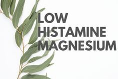 Forms Of Magnesium, Mast Cell Activation, Mthfr Gene Mutation, Topical Magnesium, Gut Problems