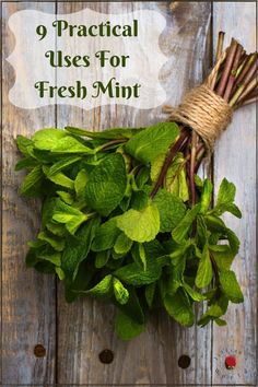 fresh mints with the title 9 practical uses for fresh mint