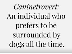 a black and white photo with the words, cannetorert an individual who prefers to be surrounded by dogs all the time