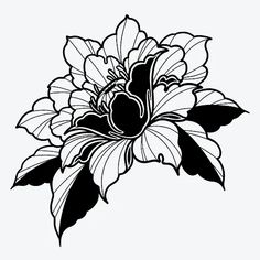 Tattoo Design Book, Tattoo Art Drawings, Japanese Tattoo Art, Tattoo Flash Art, Japanese Flowers, Design Drawings, Flower Tattoo Designs, Tattoo Design Drawings