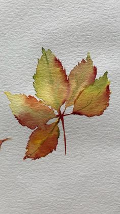 a watercolor painting of a leaf on white paper