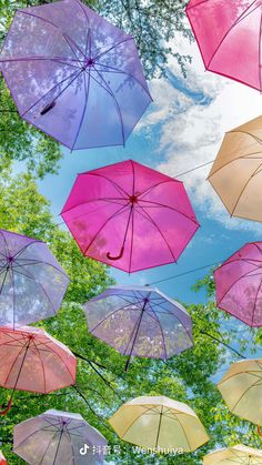 many colorful umbrellas are flying in the air above trees and leaves on a sunny day